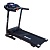 Беговая дорожка электрическая EVO FITNESS Vector